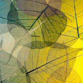 background pattern of leafs